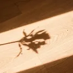 105m2 Duplex Im Herzen Berlins, Neukoelln Berlin