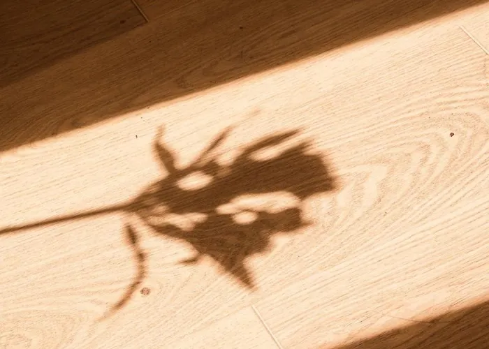 105m2 Duplex Im Herzen Berlins, Neukoelln 柏林